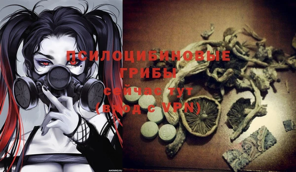 прущий лед Гусев