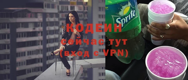 прущий лед Гусев