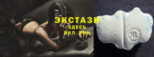 СК Гусь-Хрустальный
