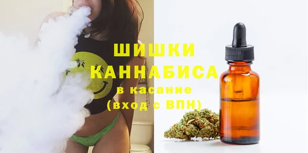 прущий лед Гусев