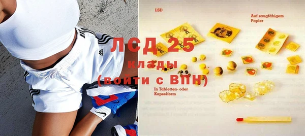 прущий лед Гусев