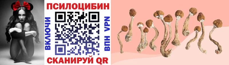 Галлюциногенные грибы Cubensis  даркнет как зайти  Олёкминск 